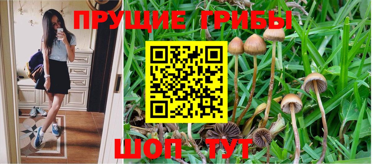 Кувандык  Псилоцибиновые грибы ЛСД  Галлюциногенные грибы GOLDEN TEACHER  Вход с VPN 