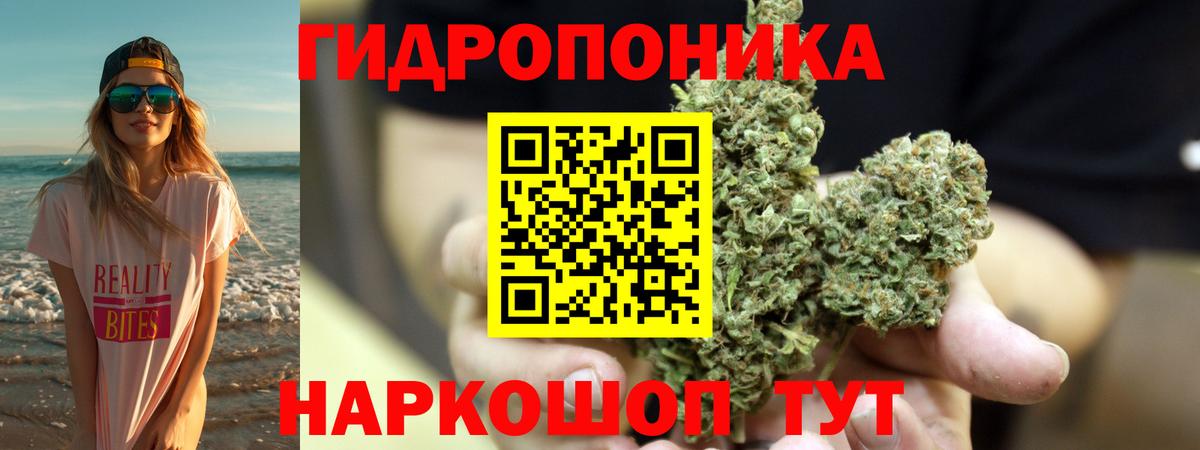 Бошки марихуана THC 21%  Бошки марихуана White Widow  Марихуана White Widow  Кувандык  Вход с VPN 